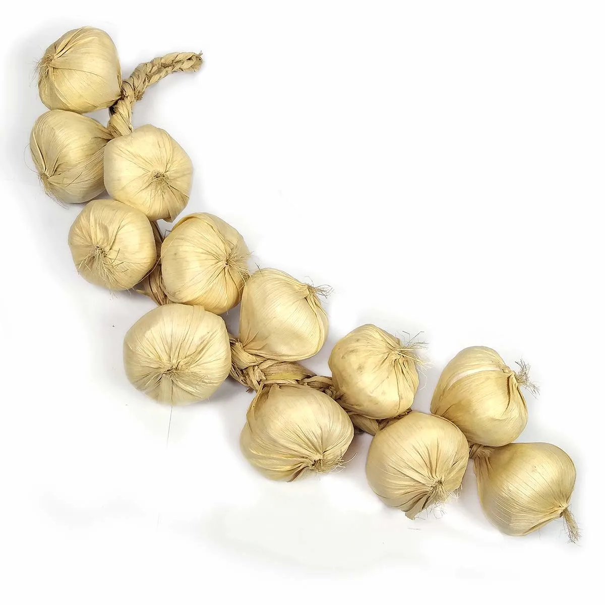 artificial onion garlic 2