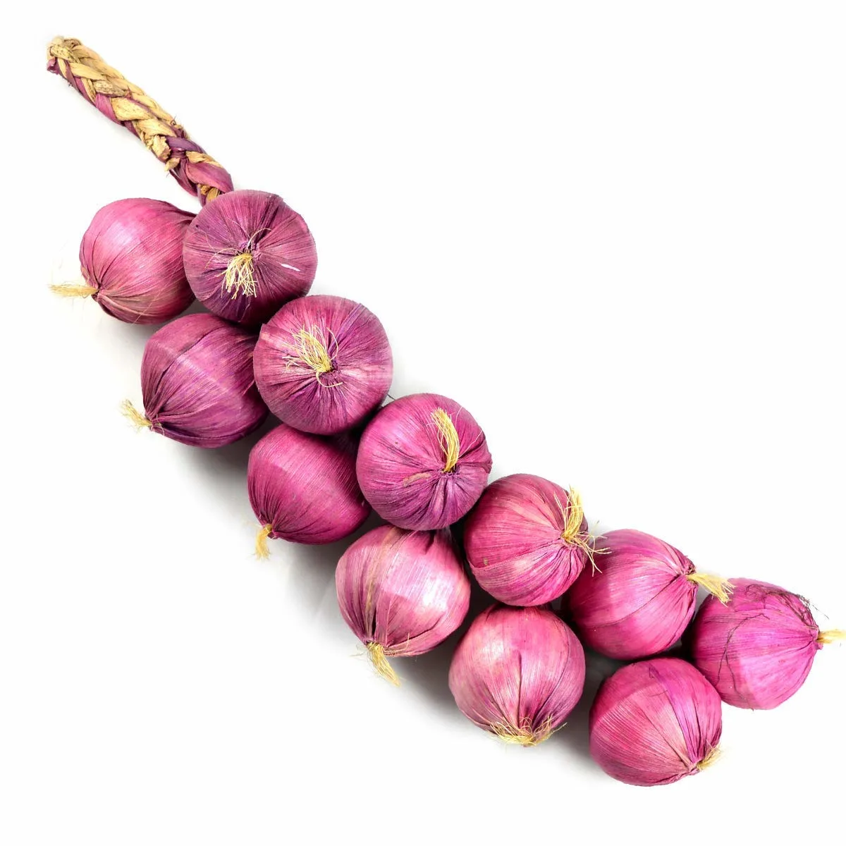 artificial onion garlic 3