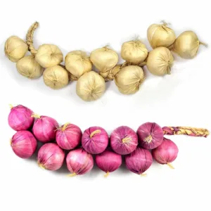artificial onion garlic 4
