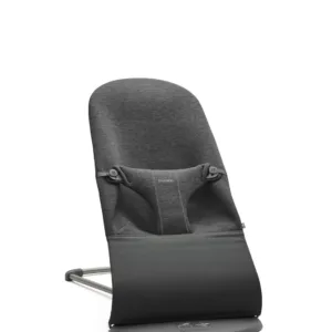 baby bouncer bliss 1