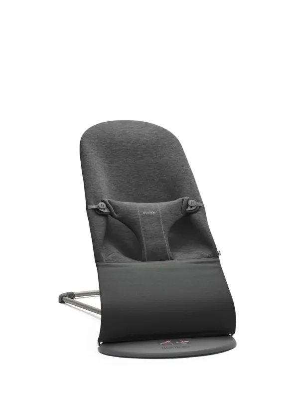 baby bouncer bliss 1
