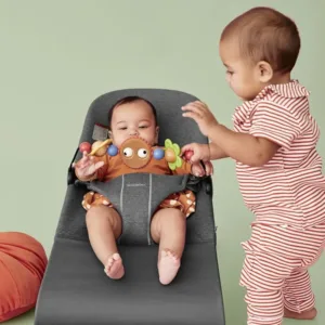baby bouncer bliss 2