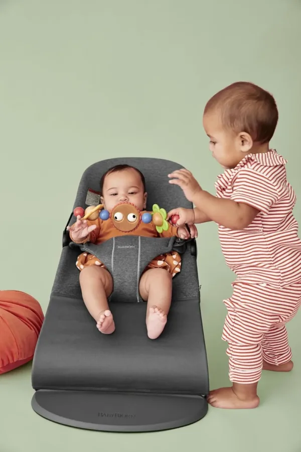 baby bouncer bliss 2