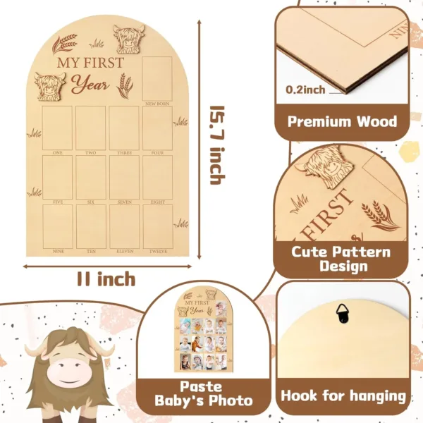 baby first year photo 2