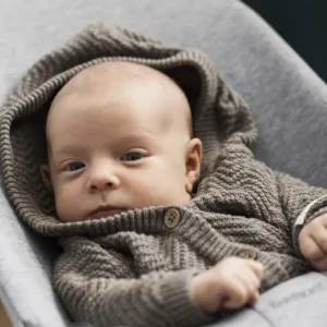 babybjorn bouncer bliss 6