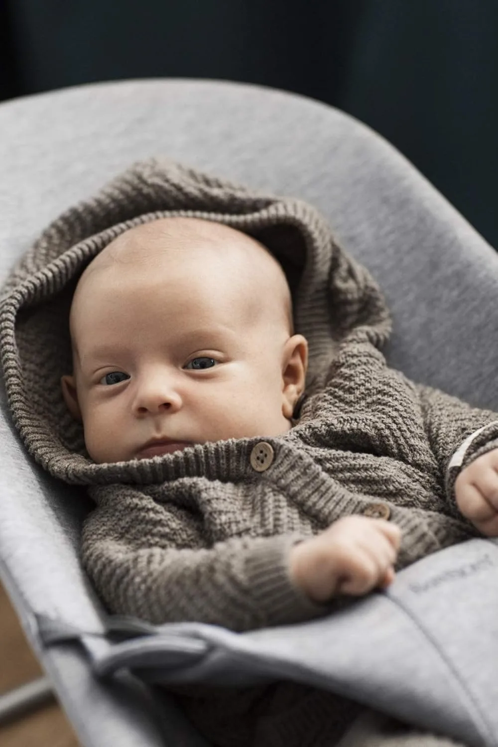 babybjorn bouncer bliss 6