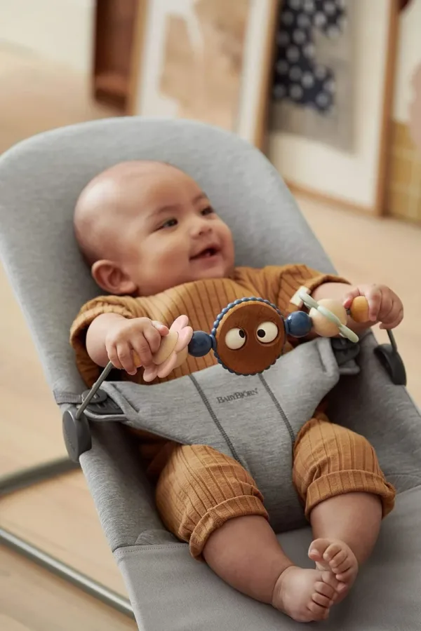 babybjorn bouncer toy 4