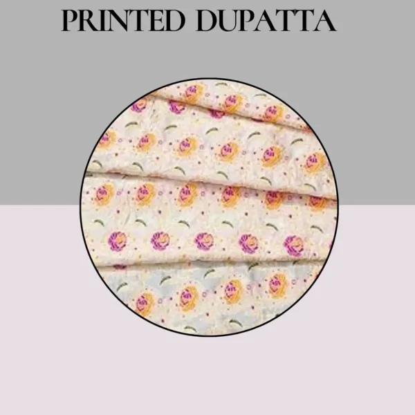 banarasi silk salwar suit 6