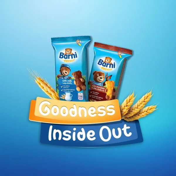 barni chocolate filled cake 7