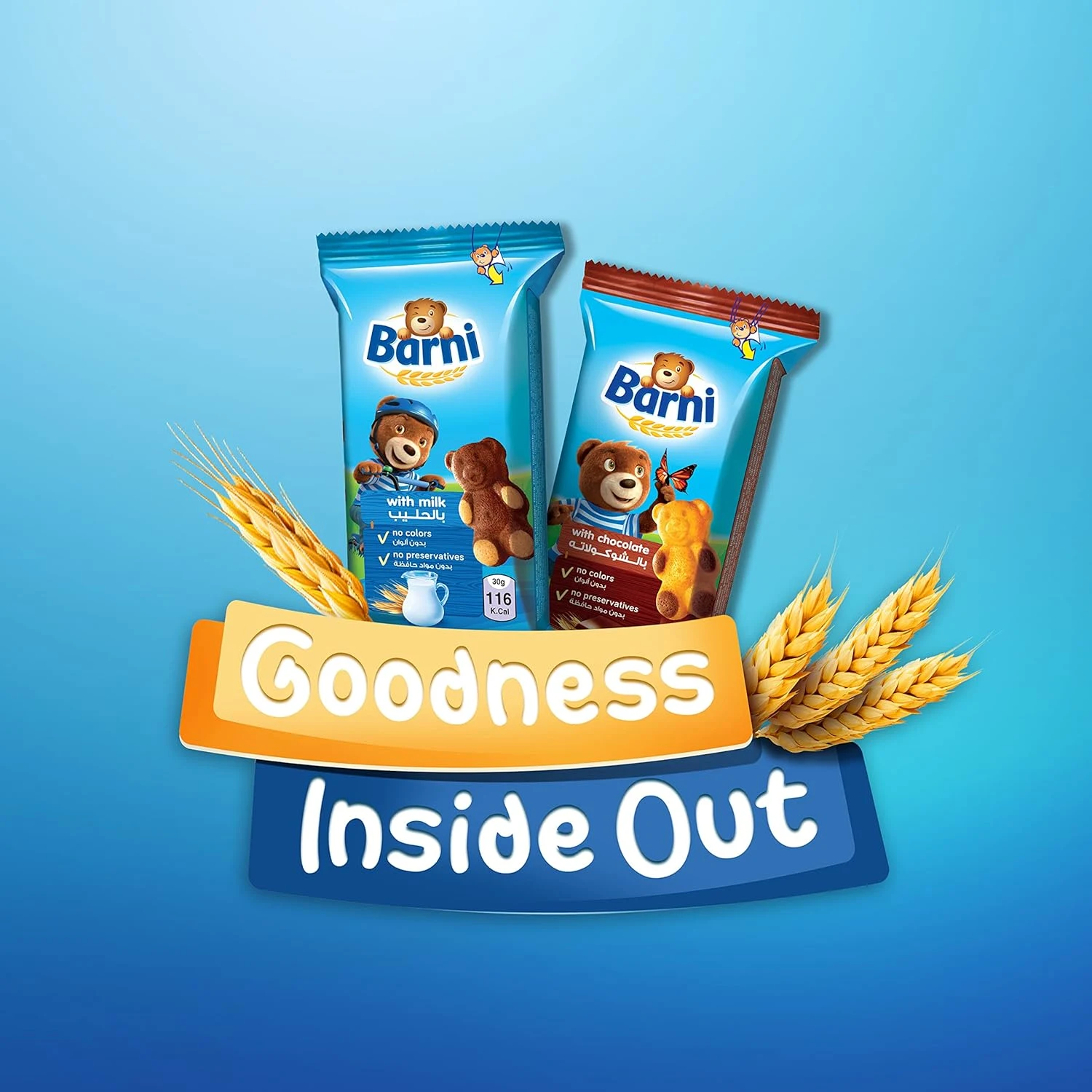 barni chocolate filled cake 7