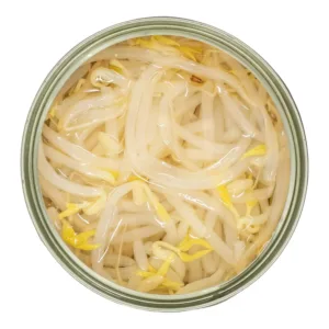 bean sprouts pack 5