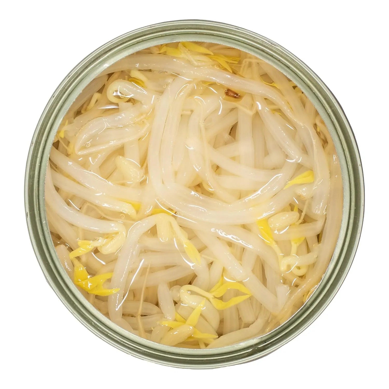 bean sprouts pack 5