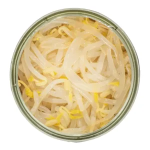 bean sprouts pack 6