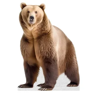 bear cardboard cutout standup 1