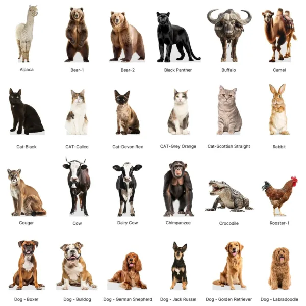 bear cardboard cutout standup 4