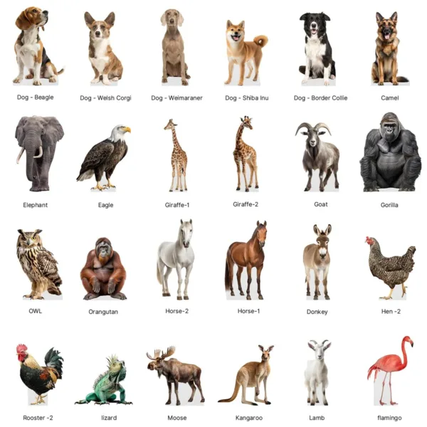 bear cardboard cutout standup 5