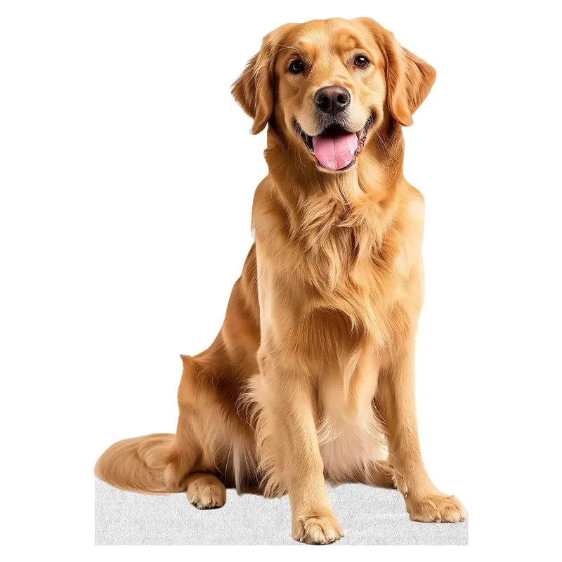 bear cardboard cutout standup 7