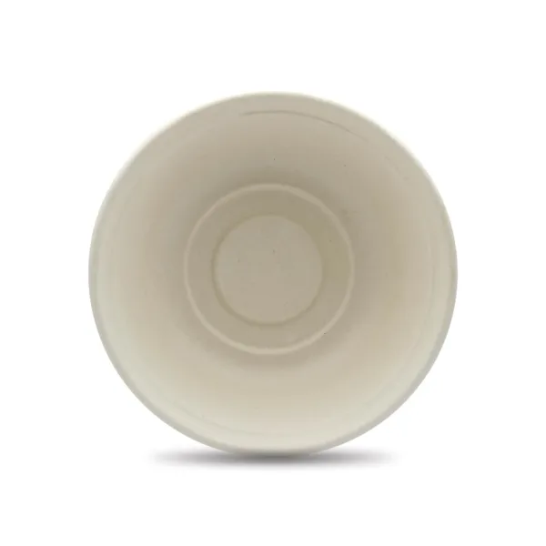 biodegradable bowls eco 2