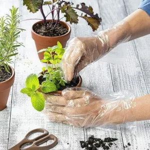 biodegradable disposable gloves 7