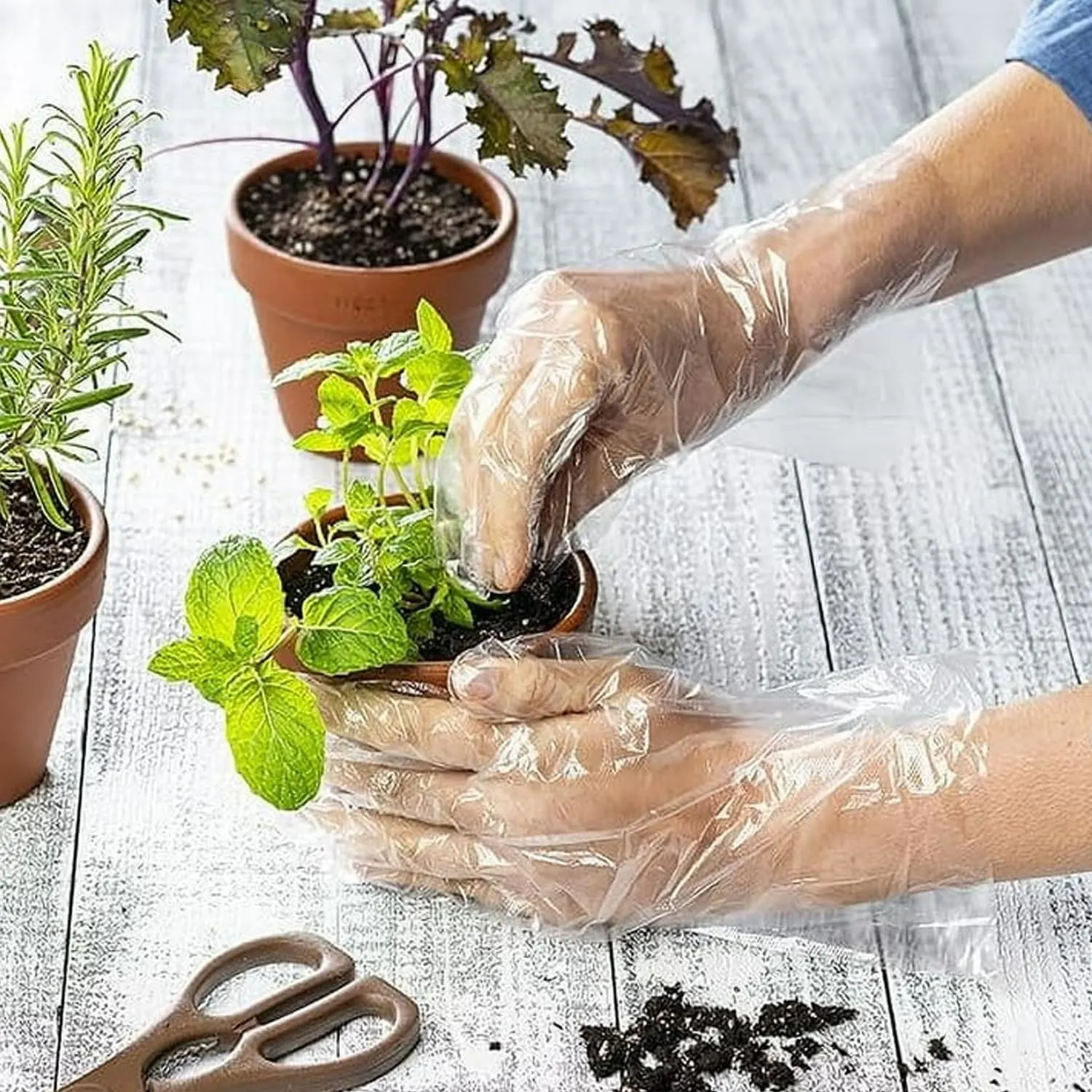 biodegradable disposable gloves 7