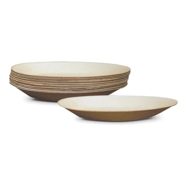 biodegradable oval plates 4