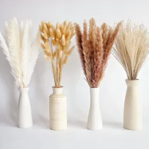 boho pampas grass 1