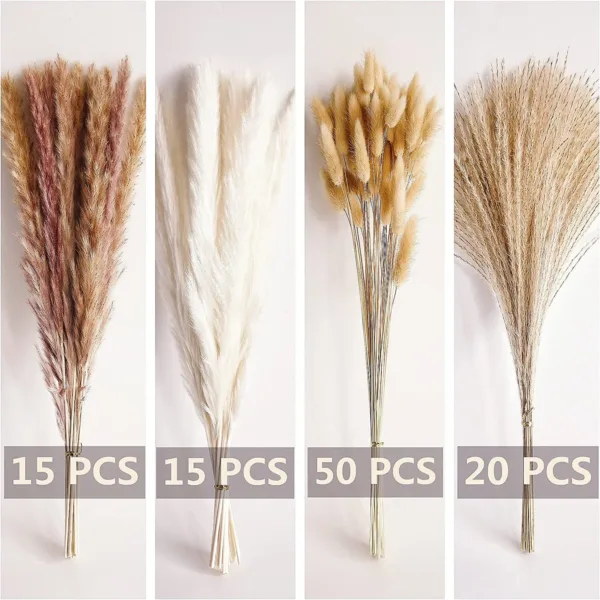 boho pampas grass 2