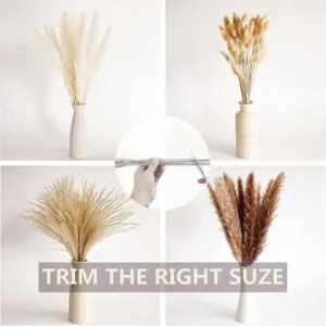 boho pampas grass 4