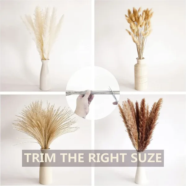 boho pampas grass 4