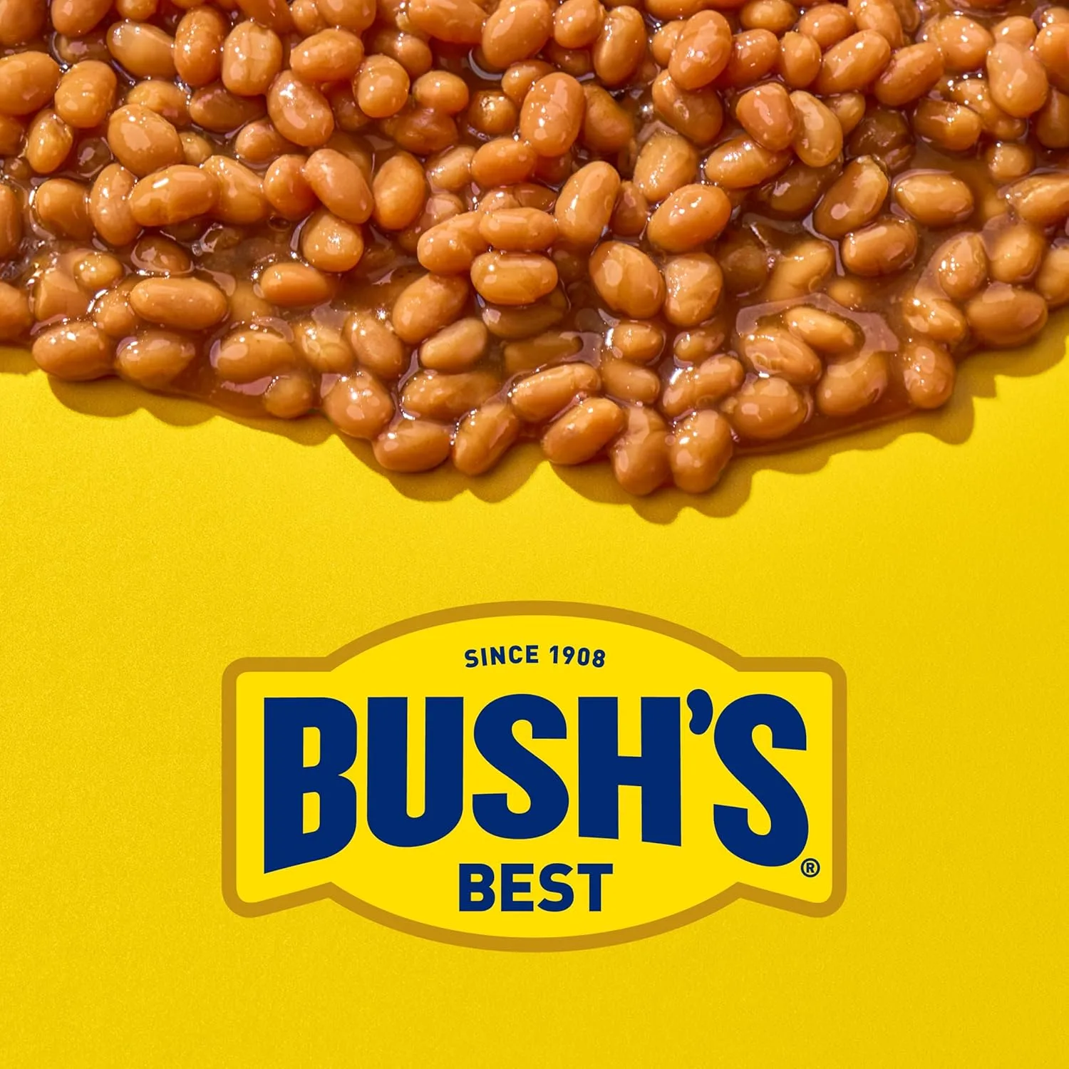 bush best baked beans 4