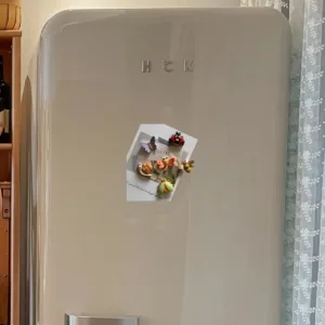 butterfly fridge magnets 5