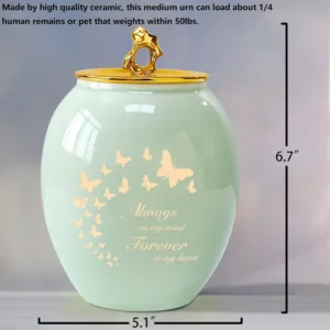 butterfly urns ashes 2