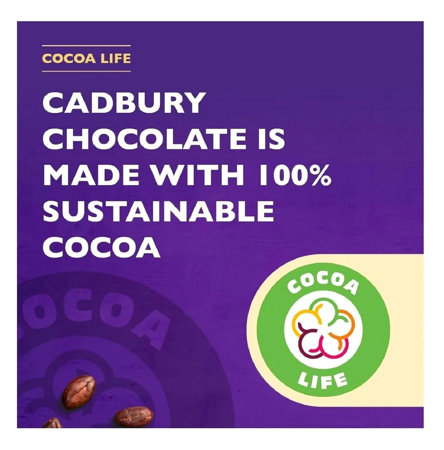 cadbury drinking chocolate 2