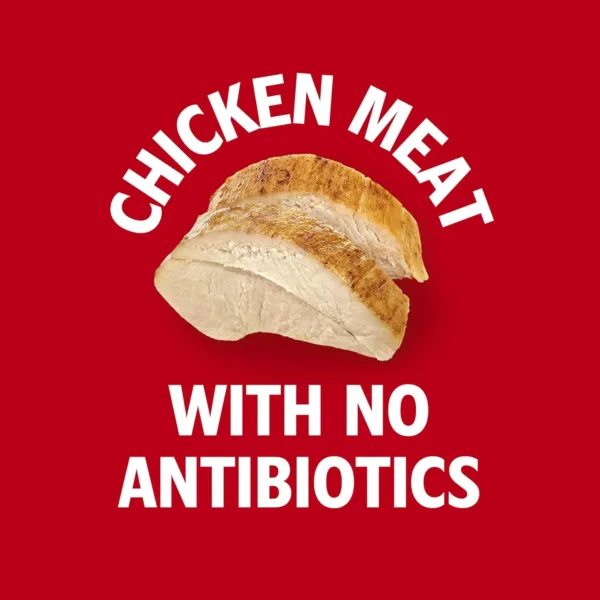 campbells chicken noodle 3