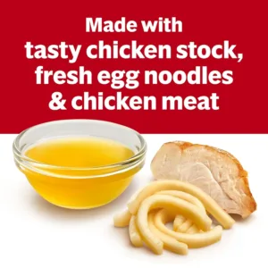 campbells chicken noodle 4