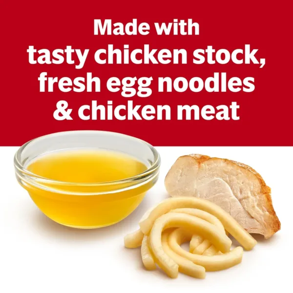 campbells chicken noodle 4