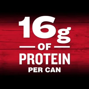 campbells chunky spicy chicken 4