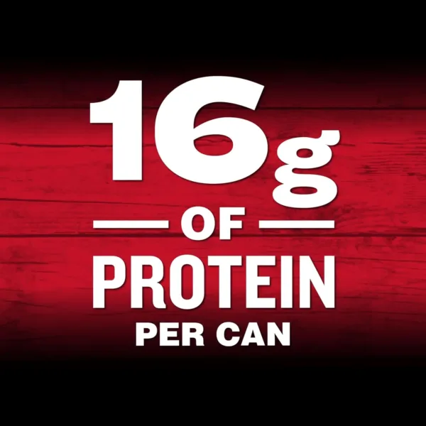 campbells chunky spicy chicken 4