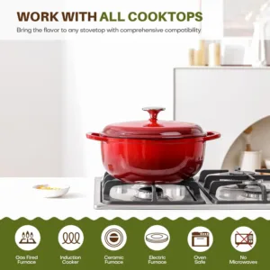 cast iron dutch oven 2