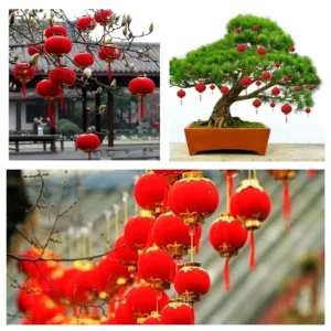 chinese new year lanterns 2