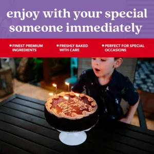 chocolate fudge cake 4