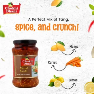 chokhi dhani pickle 5