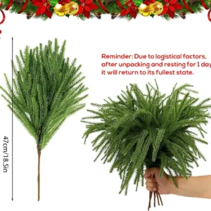 christmas norfolk pine 2