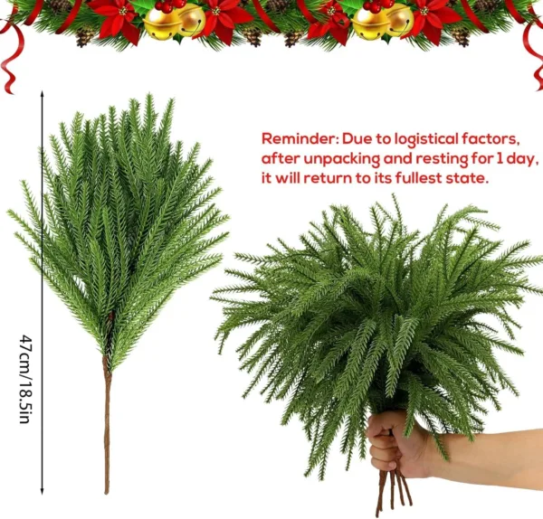 christmas norfolk pine 2