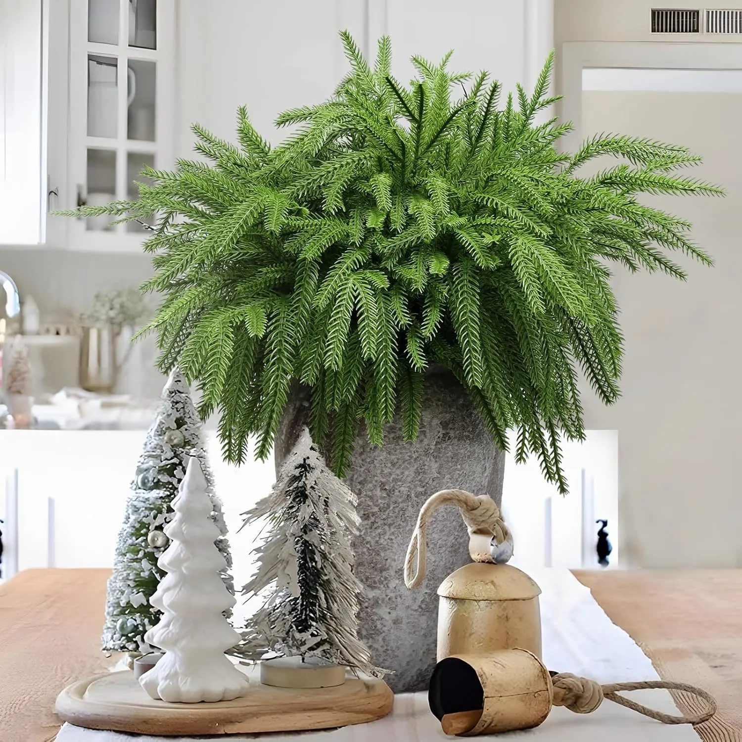 christmas norfolk pine 4