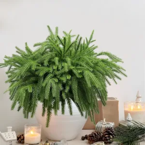 christmas norfolk pine 6