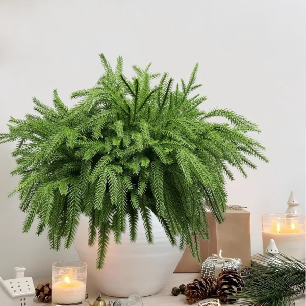 christmas norfolk pine 6