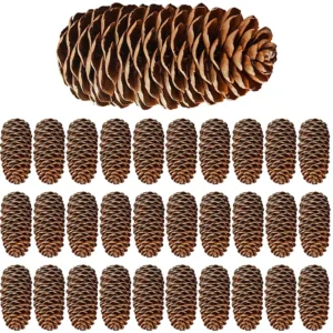 christmas pine cones 1