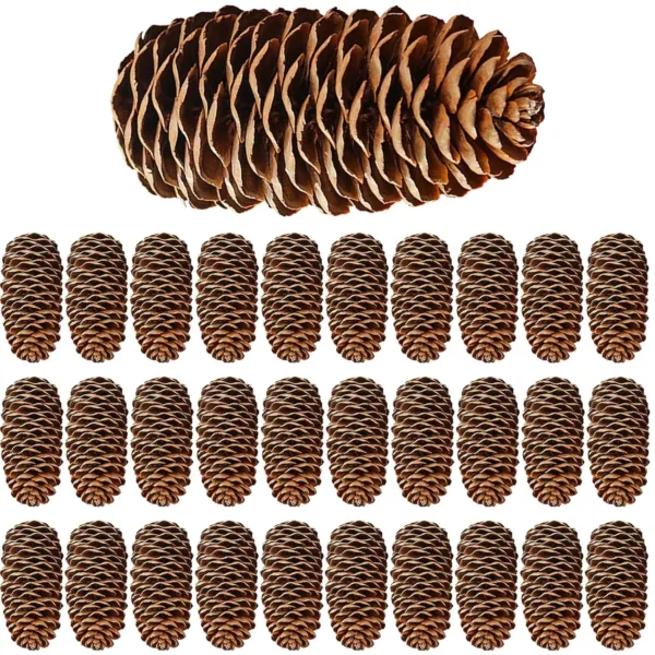 christmas pine cones 1