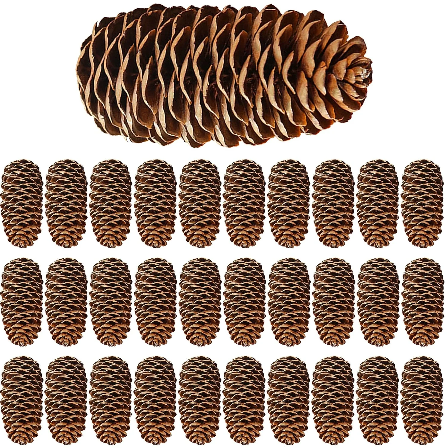 christmas pine cones 1